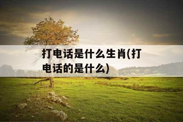 打电话是什么生肖(打电话的是什么)