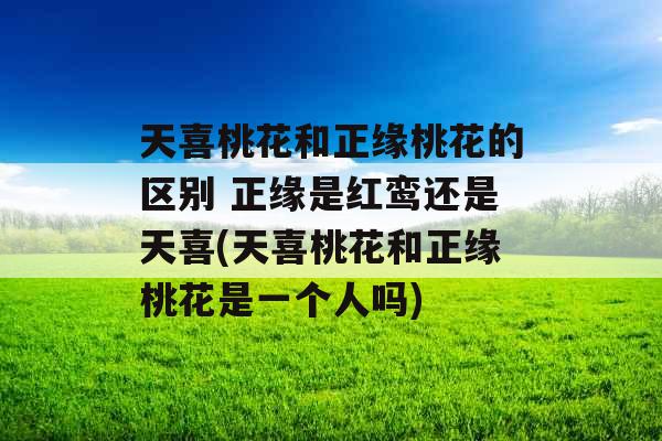 天喜桃花和正缘桃花的区别 正缘是红鸾还是天喜(天喜桃花和正缘桃花是一个人吗)