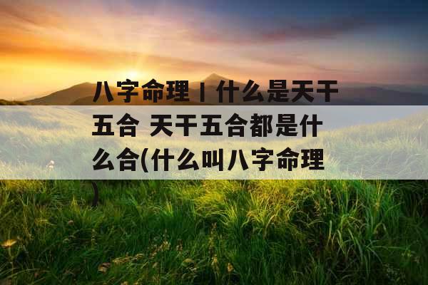 八字命理丨什么是天干五合 天干五合都是什么合(什么叫八字命理)