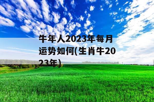 牛年人2023年每月运势如何(生肖牛2023年)