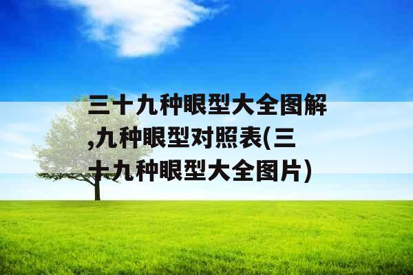 三十九种眼型大全图解,九种眼型对照表(三十九种眼型大全图片)