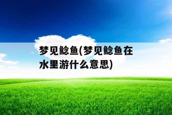 梦见鲶鱼(梦见鲶鱼在水里游什么意思)