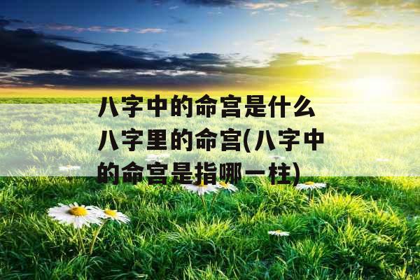 八字中的命宫是什么 八字里的命宫(八字中的命宫是指哪一柱)