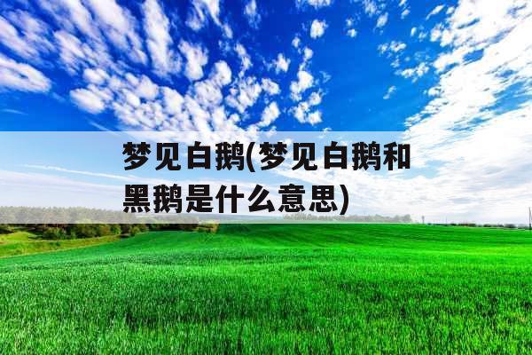 梦见白鹅(梦见白鹅和黑鹅是什么意思) 梦见白鹅(梦见白鹅和黑鹅是什么意思)