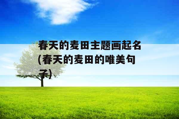 春天的麦田主题画起名(春天的麦田的唯美句子)
