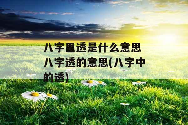 八字里透是什么意思 八字透的意思(八字中的透)