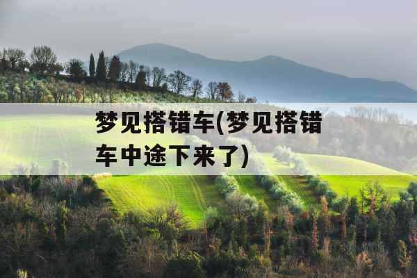 梦见搭错车(梦见搭错车中途下来了)