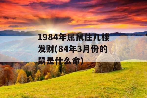 1984年属鼠住几楼发财(84年3月份的鼠是什么命) 1984年属鼠住几楼发财(84年3月份的鼠是什么命)