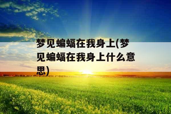 梦见蝙蝠在我身上(梦见蝙蝠在我身上什么意思)