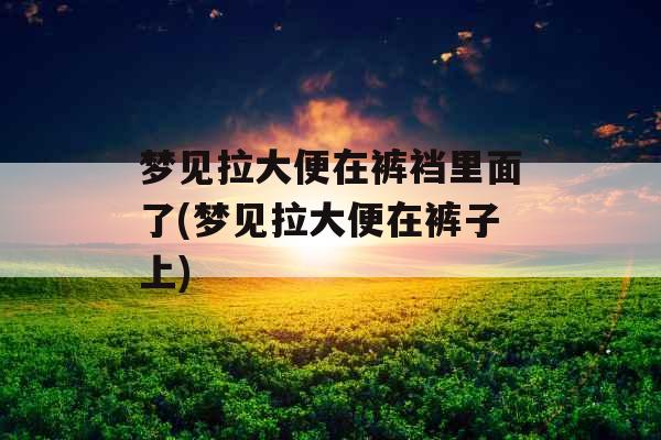 梦见拉大便在裤裆里面了(梦见拉大便在裤子上)