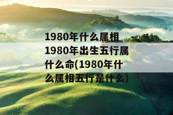 1980年什么属相 1980年出生五行属什么命(1980年什么属相五行是什么)
