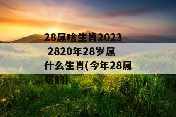 28属啥生肖2023 2820年28岁属什么生肖(今年28属啥的)
