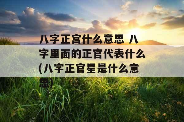 八字正宫什么意思 八字里面的正官代表什么(八字正官星是什么意思)