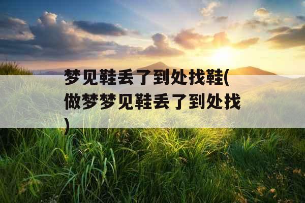 梦见鞋丢了到处找鞋(做梦梦见鞋丢了到处找)