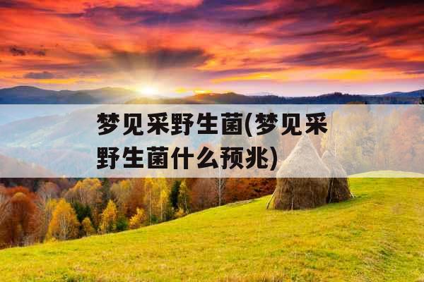 梦见采野生菌(梦见采野生菌什么预兆)