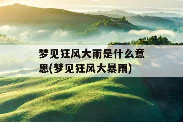 梦见狂风大雨是什么意思(梦见狂风大暴雨)