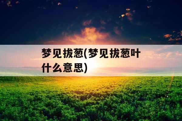 梦见拔葱(梦见拔葱叶什么意思)