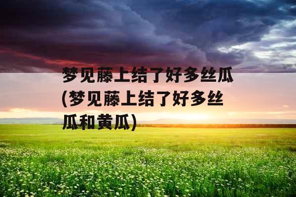 梦见藤上结了好多丝瓜(梦见藤上结了好多丝瓜和黄瓜)