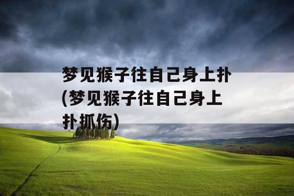 梦见猴子往自己身上扑(梦见猴子往自己身上扑抓伤)