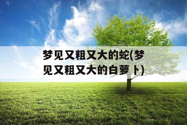 梦见又粗又大的蛇(梦见又粗又大的白萝卜)