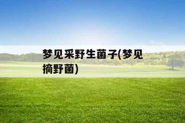 梦见采野生菌子(梦见摘野菌) 梦见采野生菌子(梦见摘野菌)