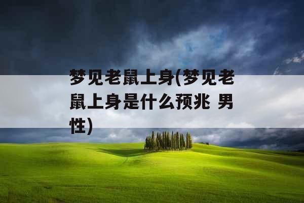 梦见老鼠上身(梦见老鼠上身是什么预兆 男性)
