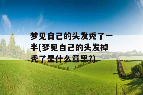 梦见自己的头发秃了一半(梦见自己的头发掉秃了是什么意思?)