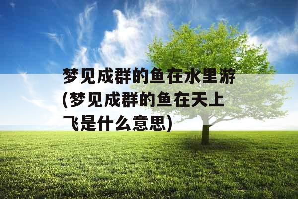 梦见成群的鱼在水里游(梦见成群的鱼在天上飞是什么意思) 梦见成群的鱼在水里游(梦见成群的鱼在天上飞是什么意思)