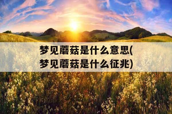 梦见蘑菇是什么意思(梦见蘑菇是什么征兆)