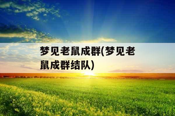 梦见老鼠成群(梦见老鼠成群结队)