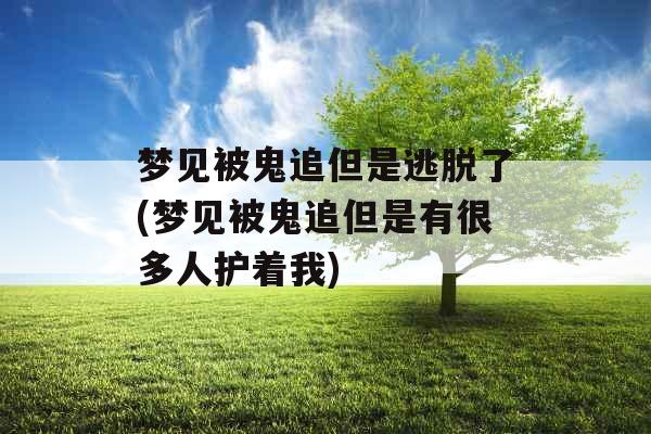 梦见被鬼追但是逃脱了(梦见被鬼追但是有很多人护着我)