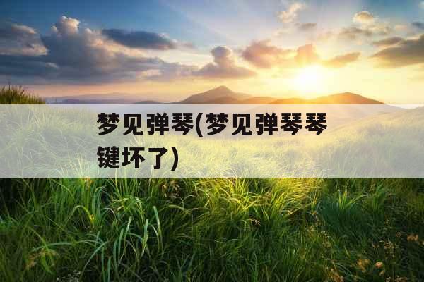 梦见弹琴(梦见弹琴琴键坏了)