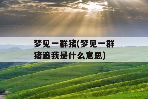 梦见一群猪(梦见一群猪追我是什么意思)