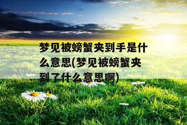 梦见被螃蟹夹到手是什么意思(梦见被螃蟹夹到了什么意思啊)