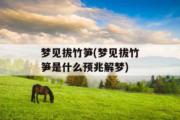 梦见拔竹笋(梦见拔竹笋是什么预兆解梦)