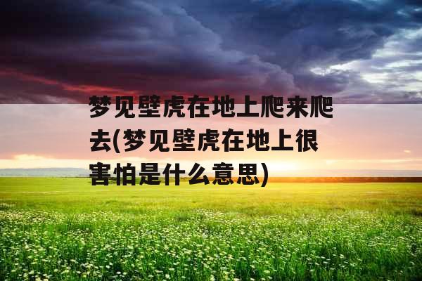 梦见壁虎在地上爬来爬去(梦见壁虎在地上很害怕是什么意思)