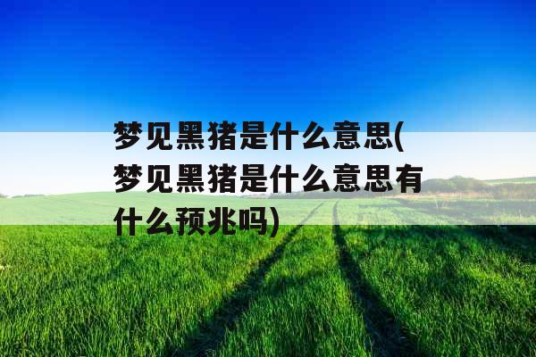 梦见黑猪是什么意思(梦见黑猪是什么意思有什么预兆吗) 梦见黑猪是什么意思(梦见黑猪是什么意思有什么预兆吗)
