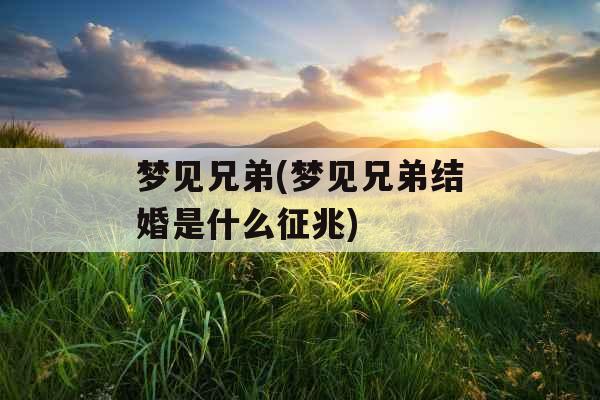 梦见兄弟(梦见兄弟结婚是什么征兆)