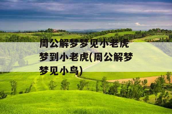周公解梦梦见小老虎 梦到小老虎(周公解梦梦见小鸟)