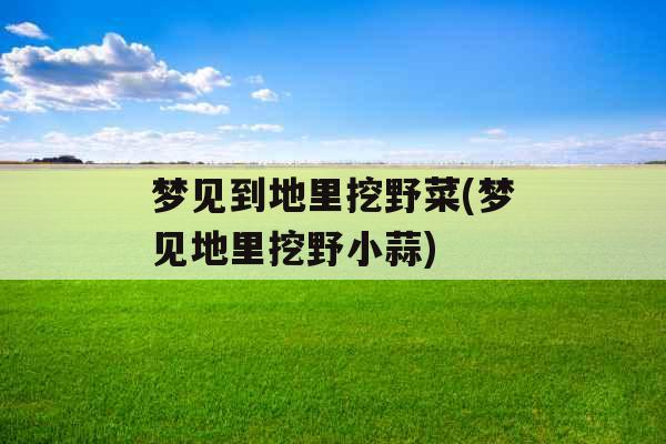 梦见到地里挖野菜(梦见地里挖野小蒜) 梦见到地里挖野菜(梦见地里挖野小蒜)