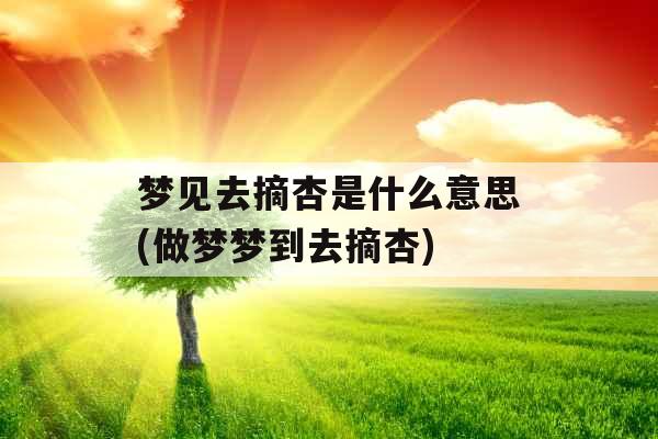 梦见去摘杏是什么意思(做梦梦到去摘杏)
