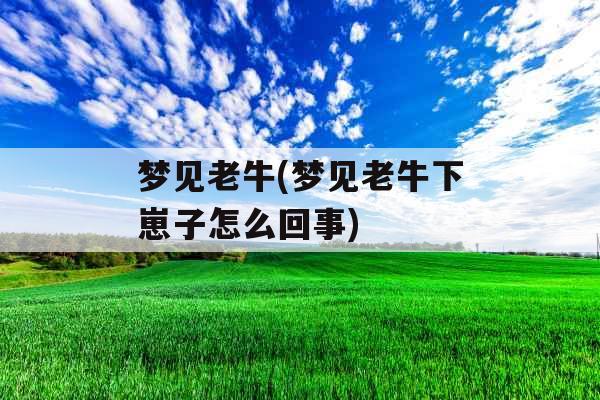 梦见老牛(梦见老牛下崽子怎么回事)