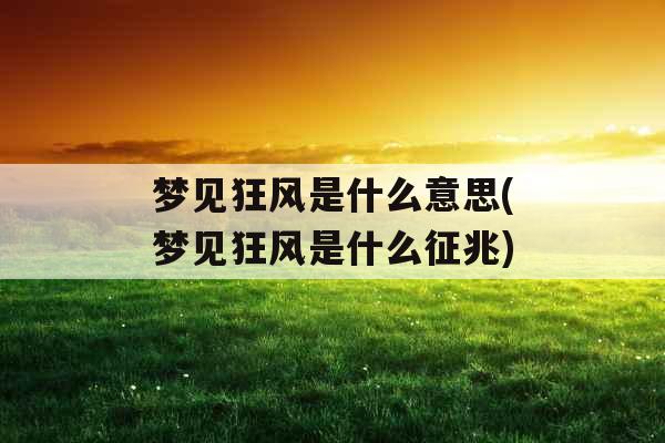 梦见狂风是什么意思(梦见狂风是什么征兆)