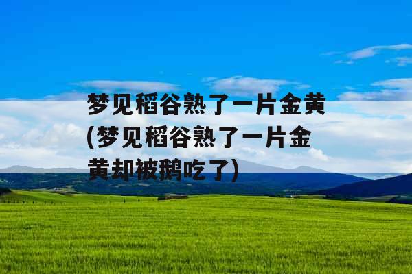 梦见稻谷熟了一片金黄(梦见稻谷熟了一片金黄却被鹅吃了) 梦见稻谷熟了一片金黄(梦见稻谷熟了一片金黄却被鹅吃了)