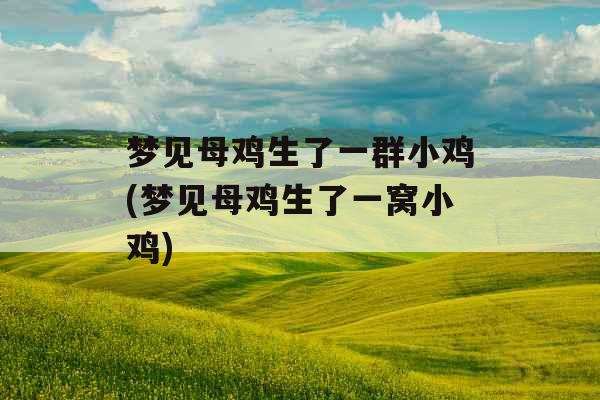梦见母鸡生了一群小鸡(梦见母鸡生了一窝小鸡)