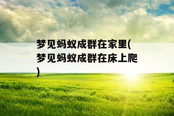 梦见蚂蚁成群在家里(梦见蚂蚁成群在床上爬)