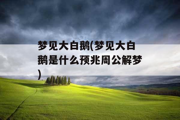 梦见大白鹅(梦见大白鹅是什么预兆周公解梦)