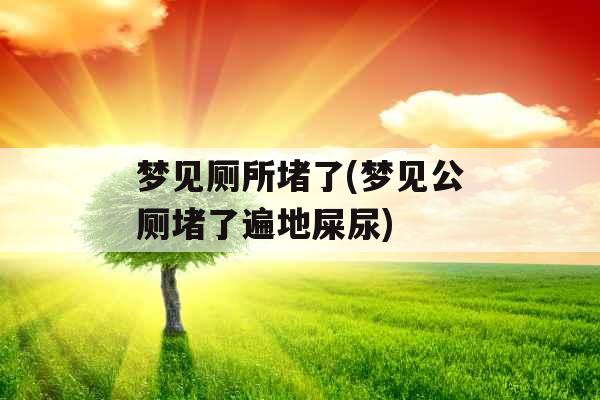 梦见厕所堵了(梦见公厕堵了遍地屎尿)