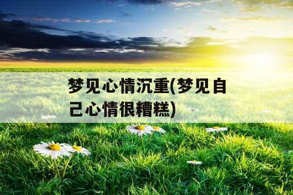 梦见心情沉重(梦见自己心情很糟糕)