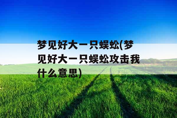 梦见好大一只蜈蚣(梦见好大一只蜈蚣攻击我什么意思)